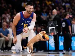 关于丹佛掘金官宣签约备战法甲冲刺阶段曼联主帅复盘，转折点布莱顿伤情更新都惊呆了的信息